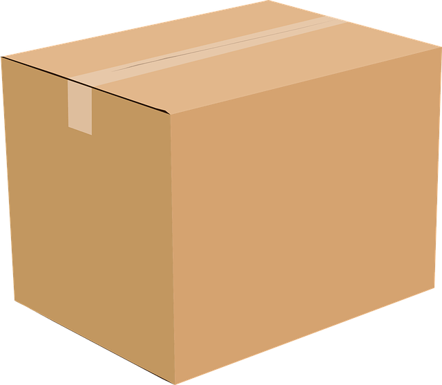 Google Ads Paketleri
